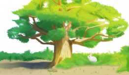 大树漫画,描绘生活百态，传递温馨情感